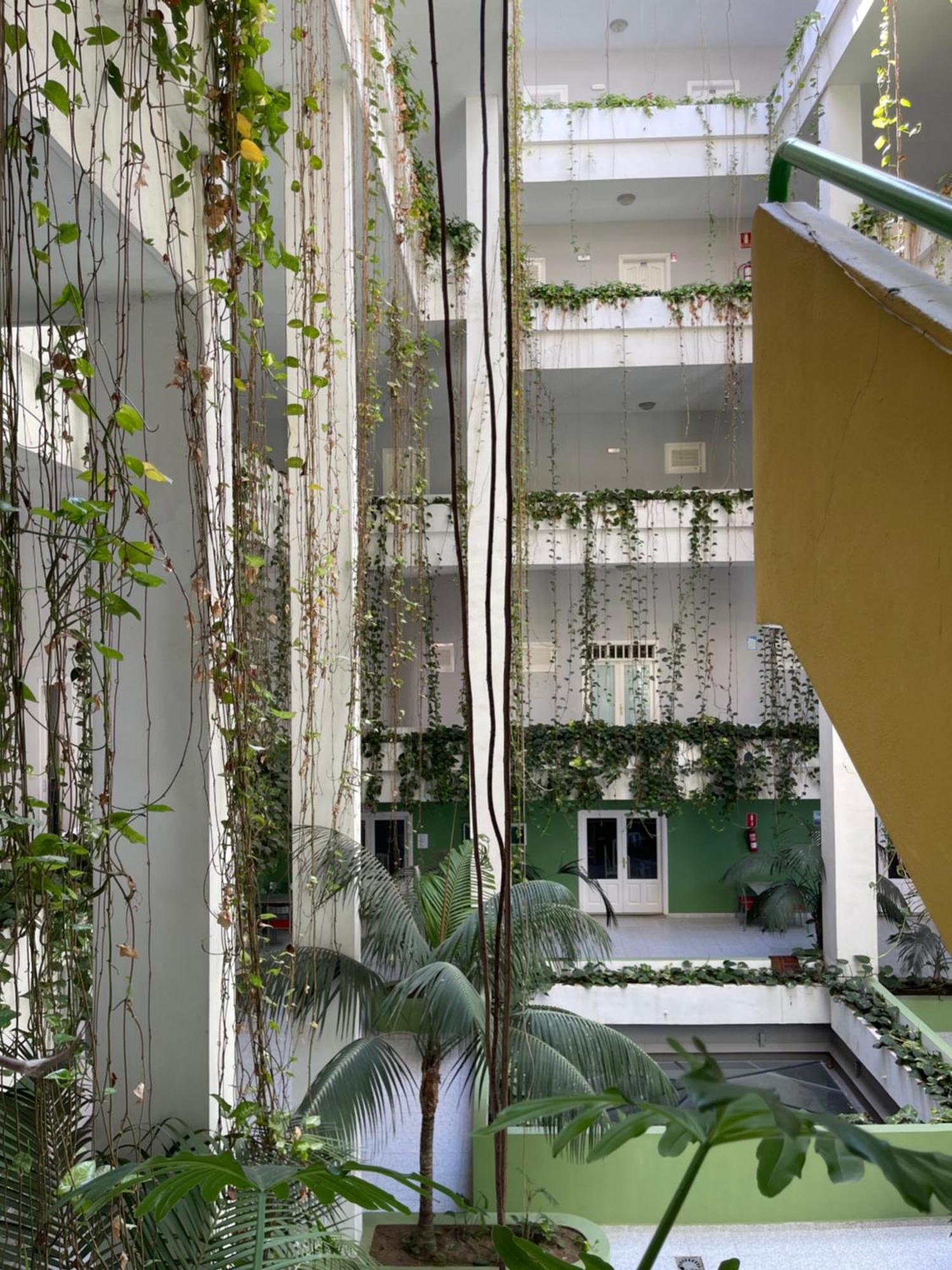 Bahia I Appartement Puerto de la Cruz  Buitenkant foto